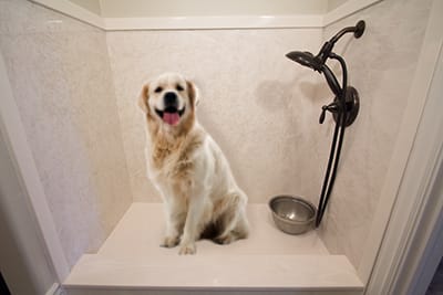 Dog showers for your fur babies